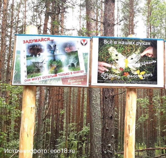 Прокуратура Удмуртской Республики: об итогах Года экологии и Года особо  охраняемых природных территорий 